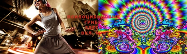a pvp Медногорск