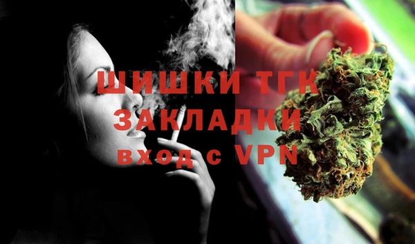 шишки Алзамай